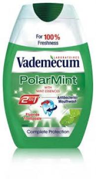 vademecum-2v1-polar-mint-75ml_1196.jpg